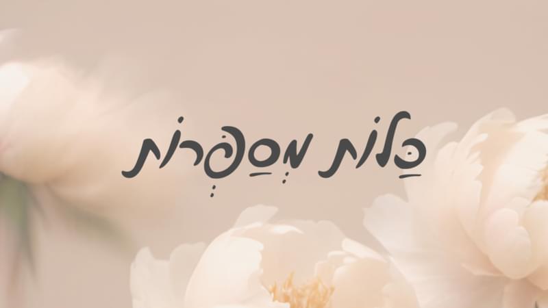 תמונת קאבר