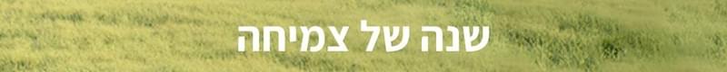 הפקת ארועים - שנה של בחירה בין מעולה למצוין