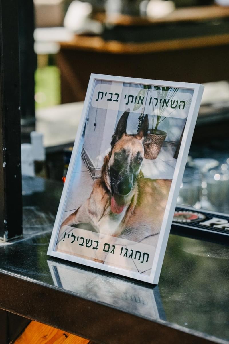 צילום: עומר שניאור