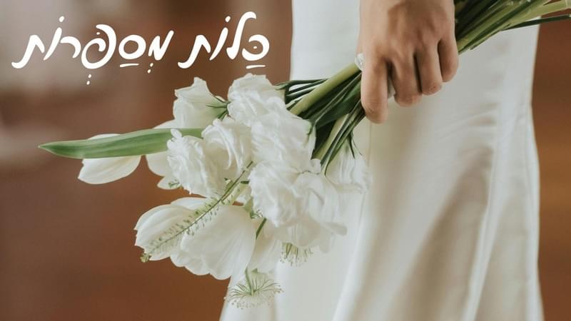 מחירים, ספקים וניהול תקציב: כל מה שחשוב לדעת לפני שסוגרים חתונה