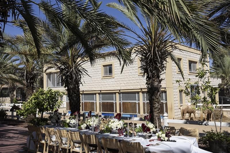 צילום: אסטוריה צלמים