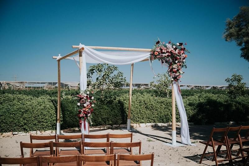 צילום: תומר רבינוביץ