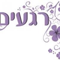 לוגו של העסק