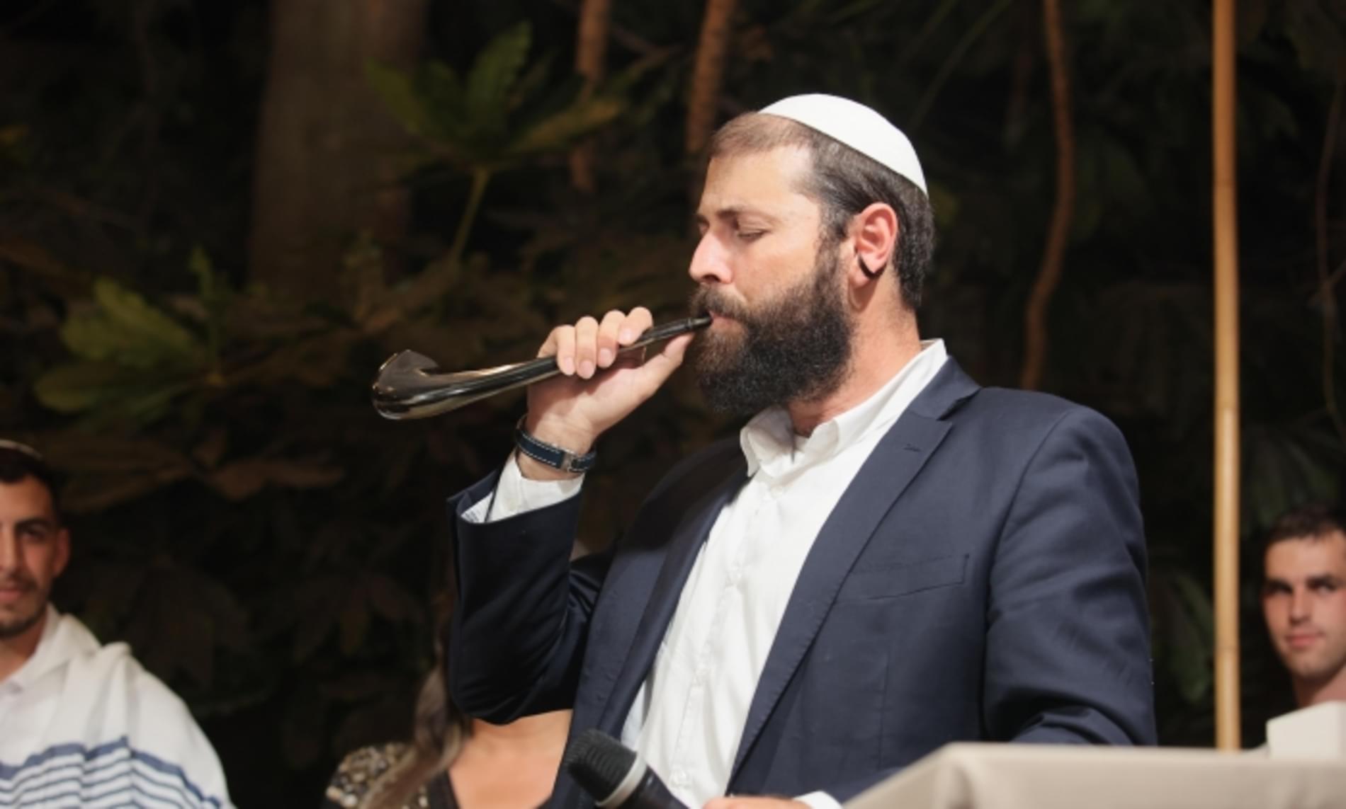 תמונה מספר 2