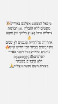 מיכאל הממגנט
