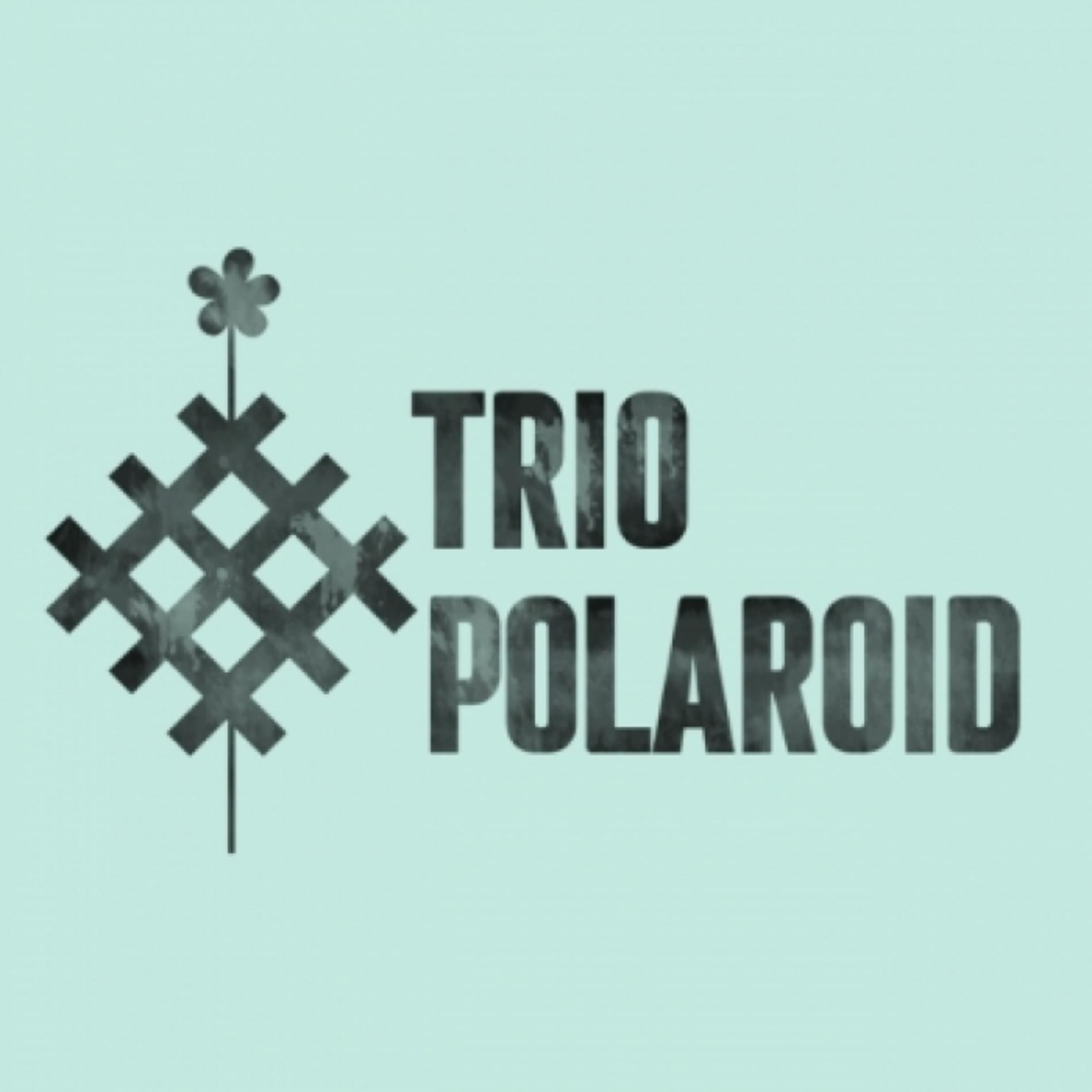 טריו פולארויד | Trio polaroid