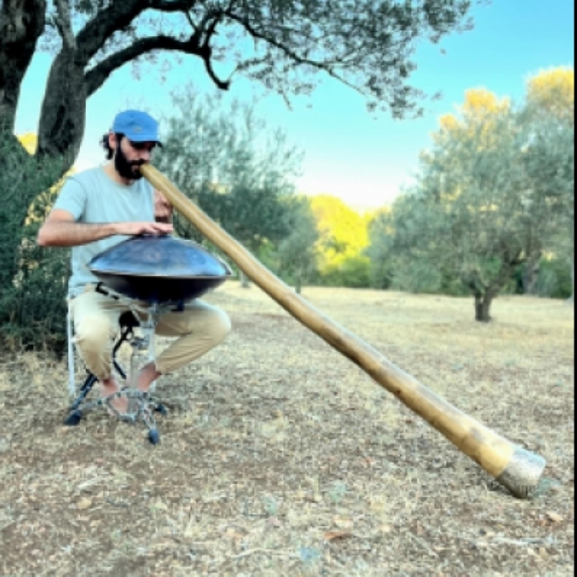 אור נגן פאנטם