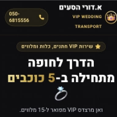 א.דורי הסעות vip