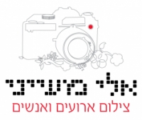 לוגו של העסק