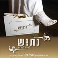 לוגו של העסק