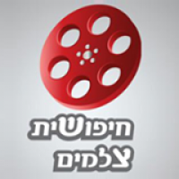 חיפושית צלמים
