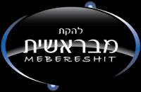 לוגו של העסק