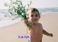 תמונה על מגנט