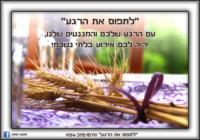 לתפוס את הרגע/מגנטים לאירועים