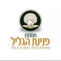 פנינת הגליל