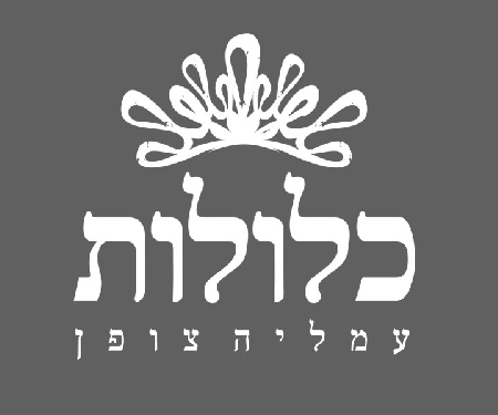 לוגו של העסק