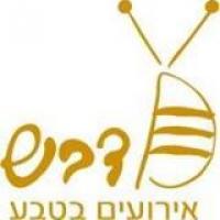 דבש ארועים