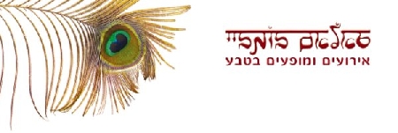 סאלאם בומביי הפקות