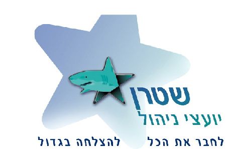 שטרןיועצי ניהול