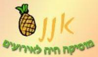 אננס מוסיקה חיה לאירועים