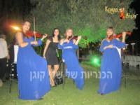 לוגו של העסק