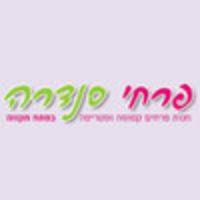 לוגו של העסק