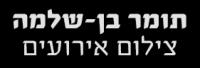 לוגו של העסק