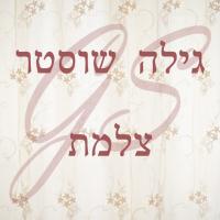 לוגו של העסק