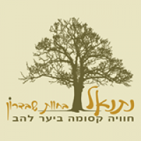 לוגו של העסק