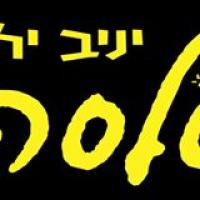 יניב ילון- ביהס לסלסה