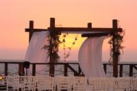 לוגו של העסק