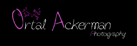 Ortal Ackerman Photography