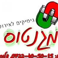 מגנטוס 