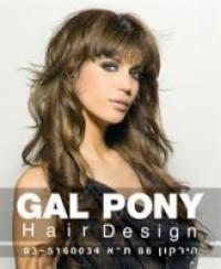GAL PONY - גל פוני