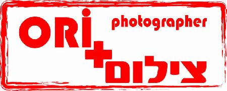 לוגו של העסק