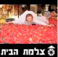 לוגו של העסק
