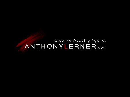 ANTHONYLERNER.COM