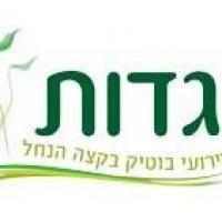 לוגו של העסק