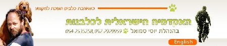 האקדמיה הישראלית לכלבנות