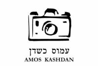 לוגו של העסק
