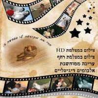 לוגו של העסק