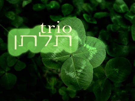 טריו תלתן