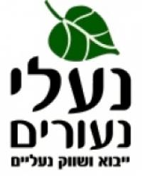 נעלי נעורים