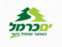 לוגו של העסק