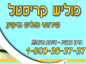 פוליש המומחים