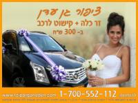 לוגו של העסק
