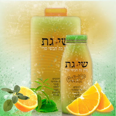 שי-גת