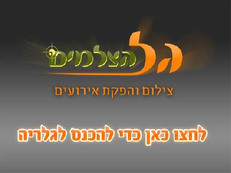 גל הצלמים