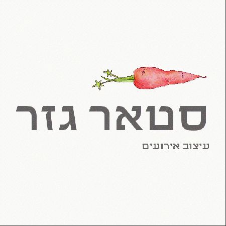 סטאר גזר