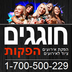 לוגו של העסק